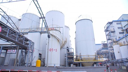 泰州口岸上半年大豆進口量領跑全省，糧油倉儲服務持續優化