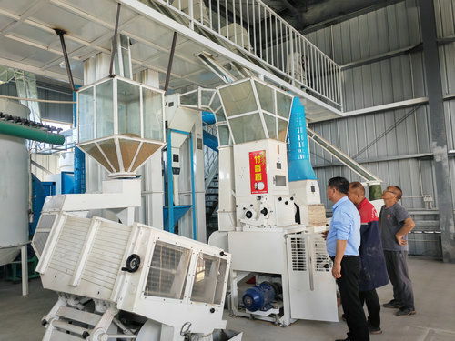 鄉村振興 供銷先行 瀘縣方洞鎮供銷合作社搭建增收致富直通車